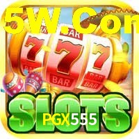 Programa VIP PGX555