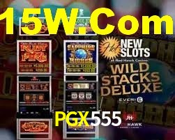 Exclusive Games PGX555